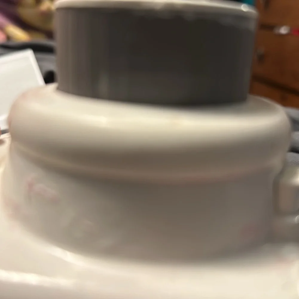 Camera Works properly. Someone painted it white though. With pink carry case .